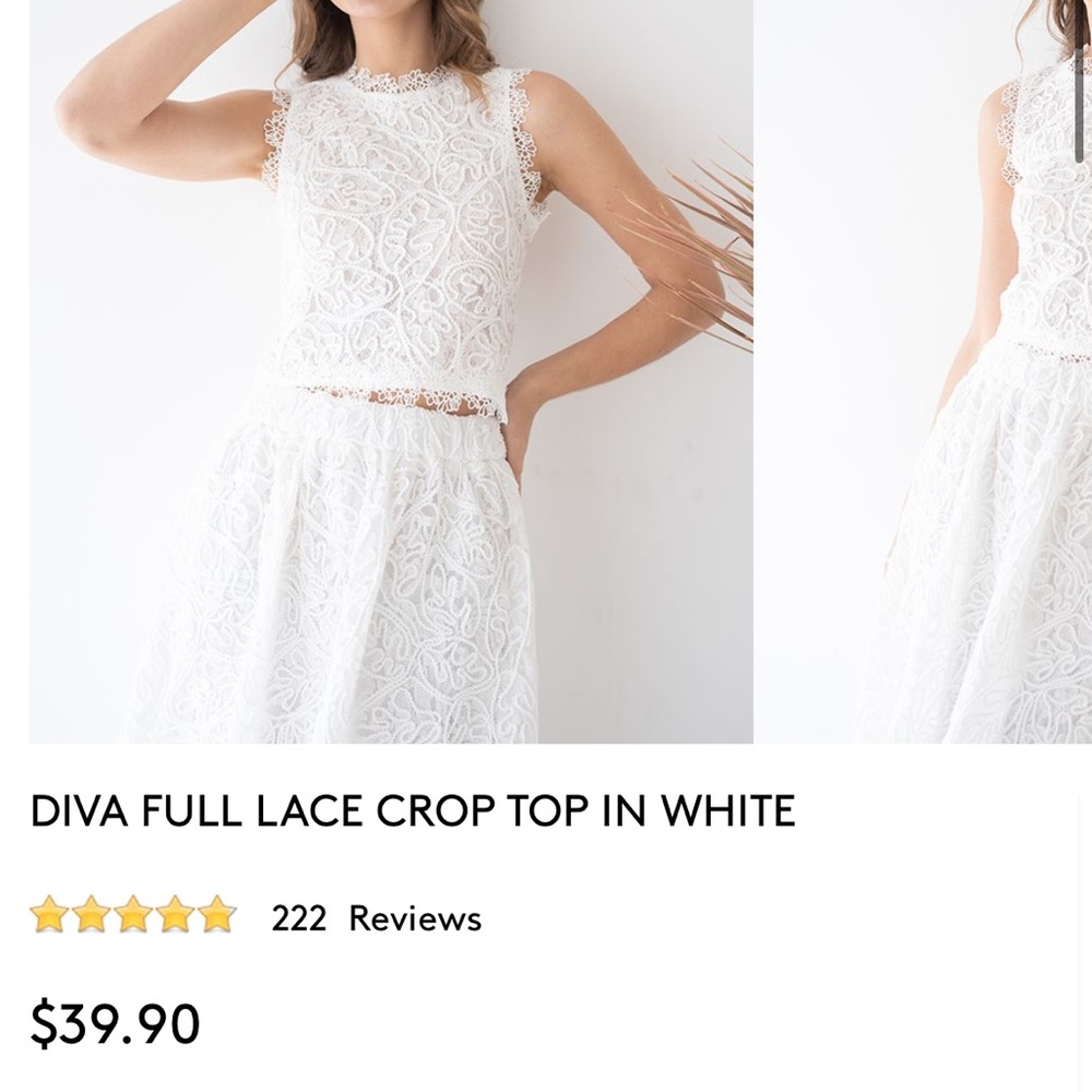 Chicwish full lace crop top 
Brand new never worn with tags